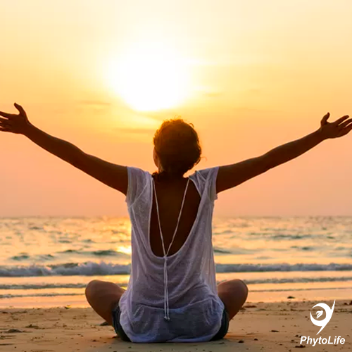 Impacto dos Suplementos Imunológicos na Vida Diária